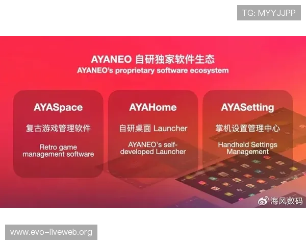 2024年最受欢迎的真人网站排行榜，真实玩家体验分享与平台优劣分析